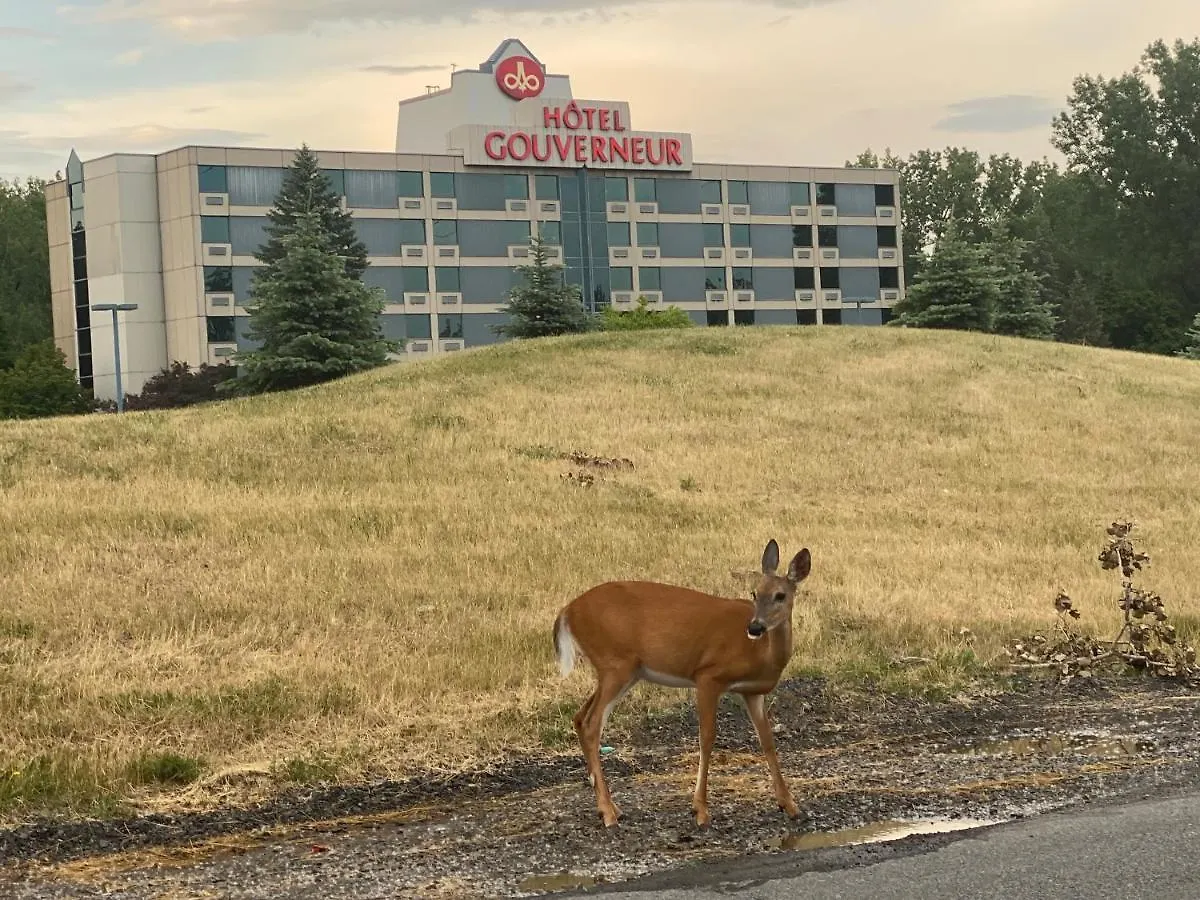 Hotel Hôtels Gouverneur Montréal - Île Charron Boucherville